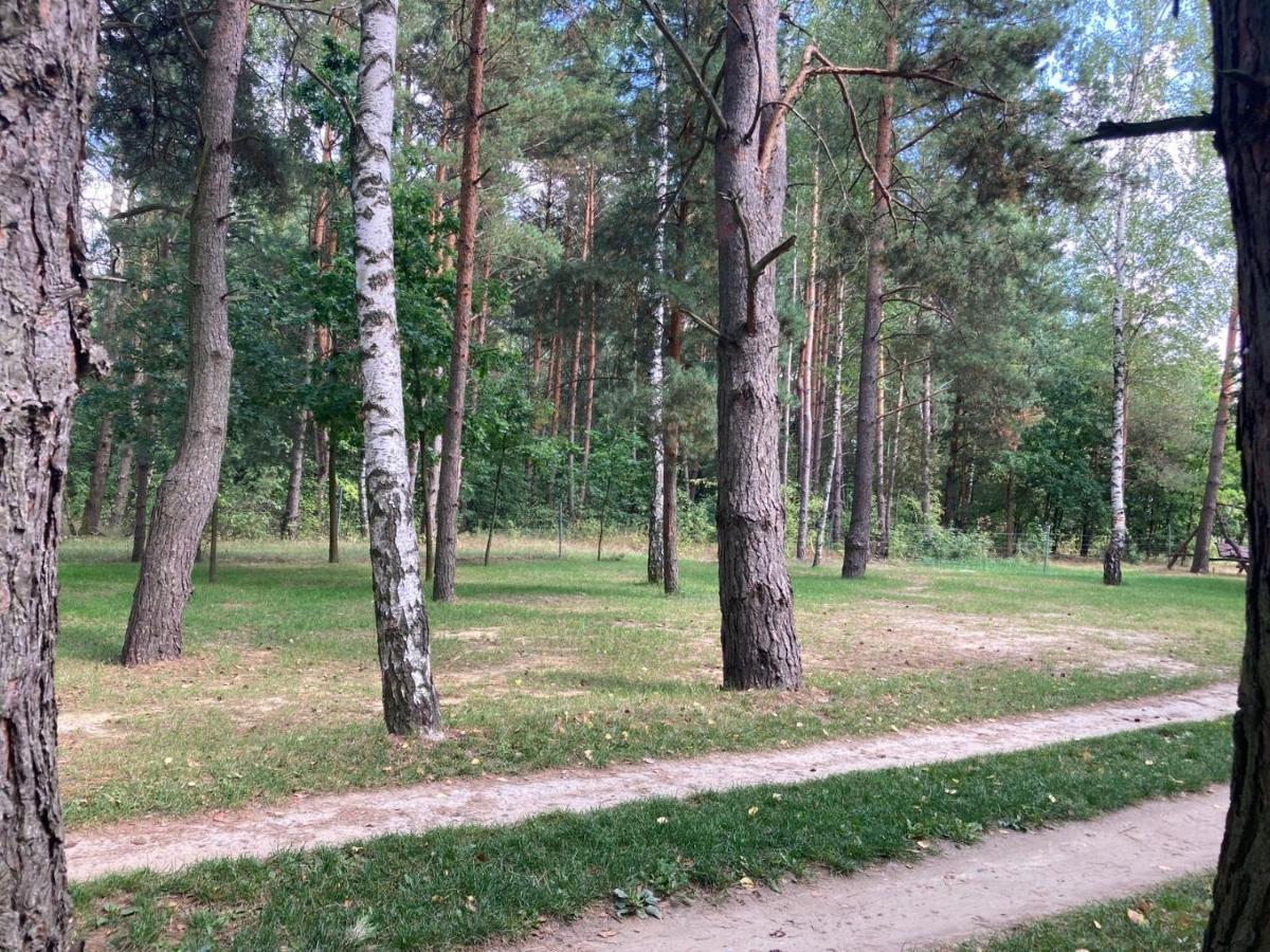 Кемпінг Lesny Raj *